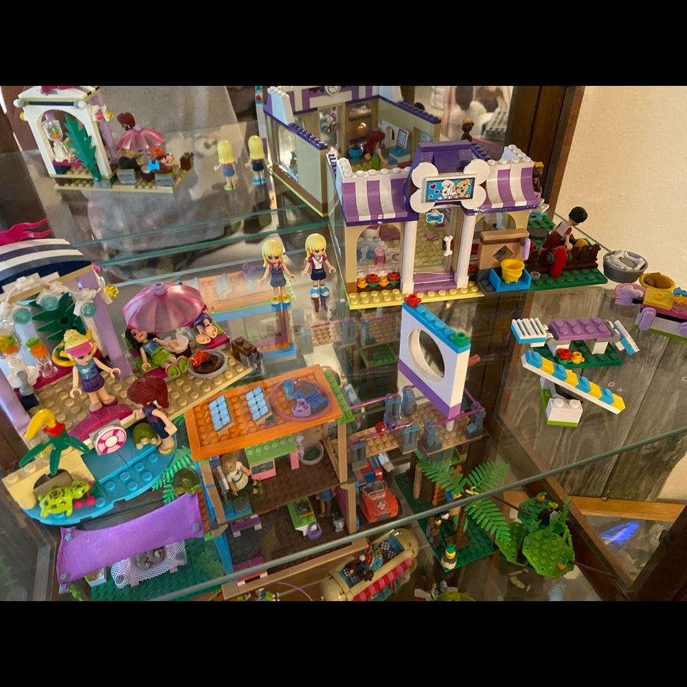 LEGO two pieces island and veterinarian office